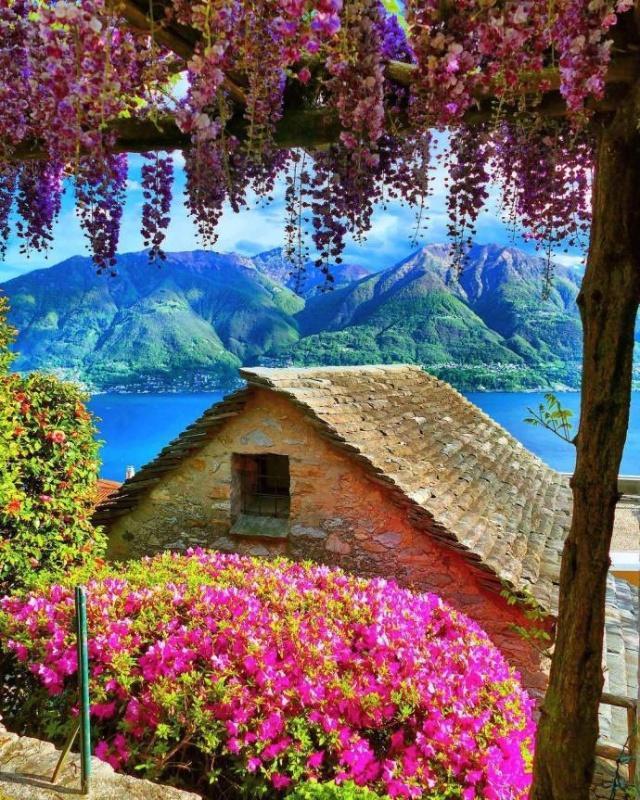 形容一个人阳光正能量的成语,形容人正能量的六字成语