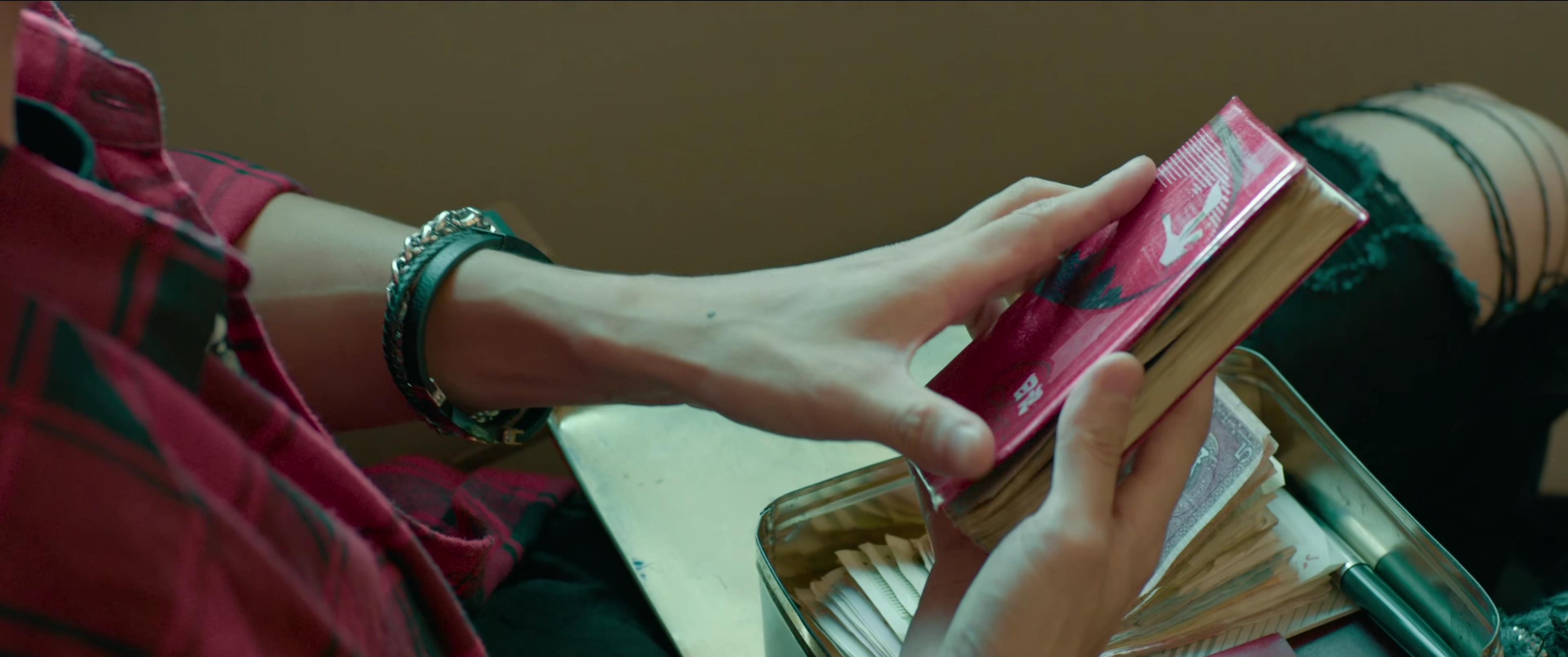 发财日记小宝和老人,发财日记小宝去二哥家