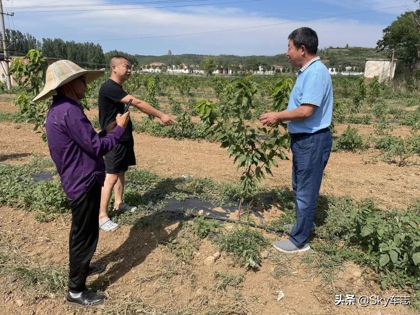 7天3000公里,宝马x57000公里发现烧机油
