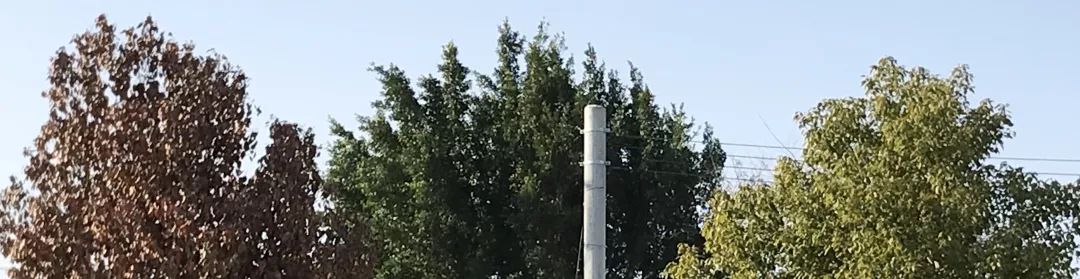 论大龄妇女,大龄未婚女青年和父母难相处