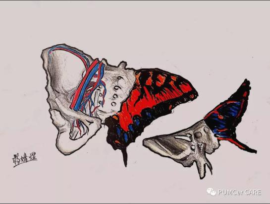 医学解剖创意绘画及作品简介,解剖手骨绘图大赛手绘图