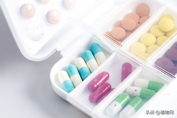 生根最快最强配方,6种生根水哪种生根最快