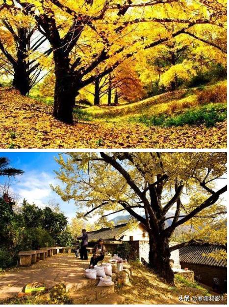 去贵州哪里看黄果树瀑布,去贵州还只知道黄果树瀑布么