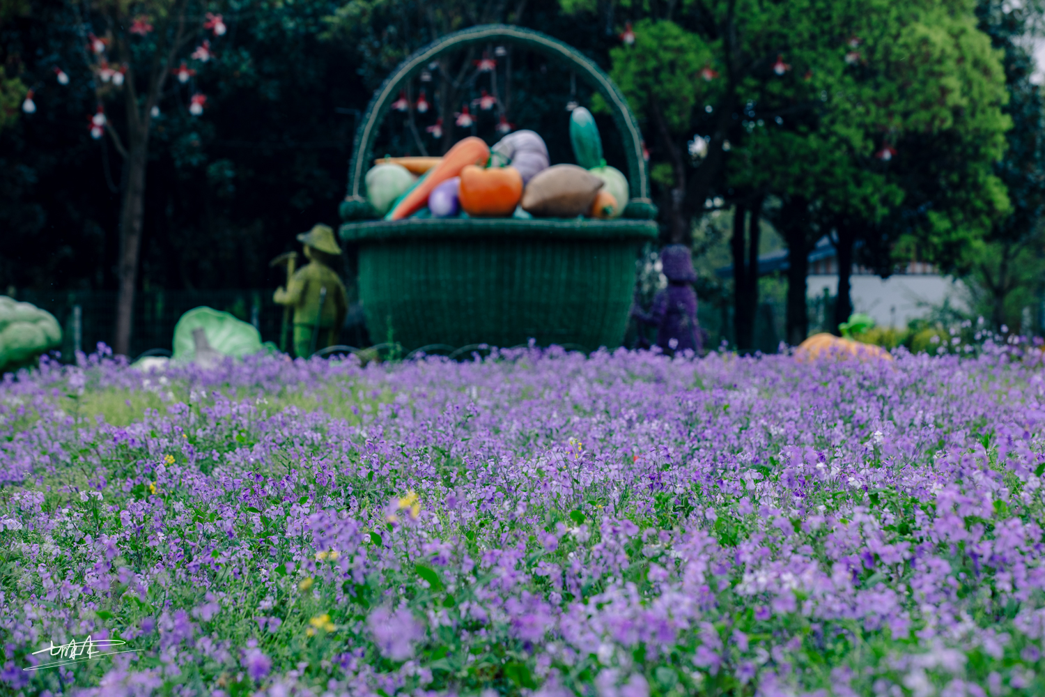 周庄古镇江南水乡美如画,周庄梦里水乡视频