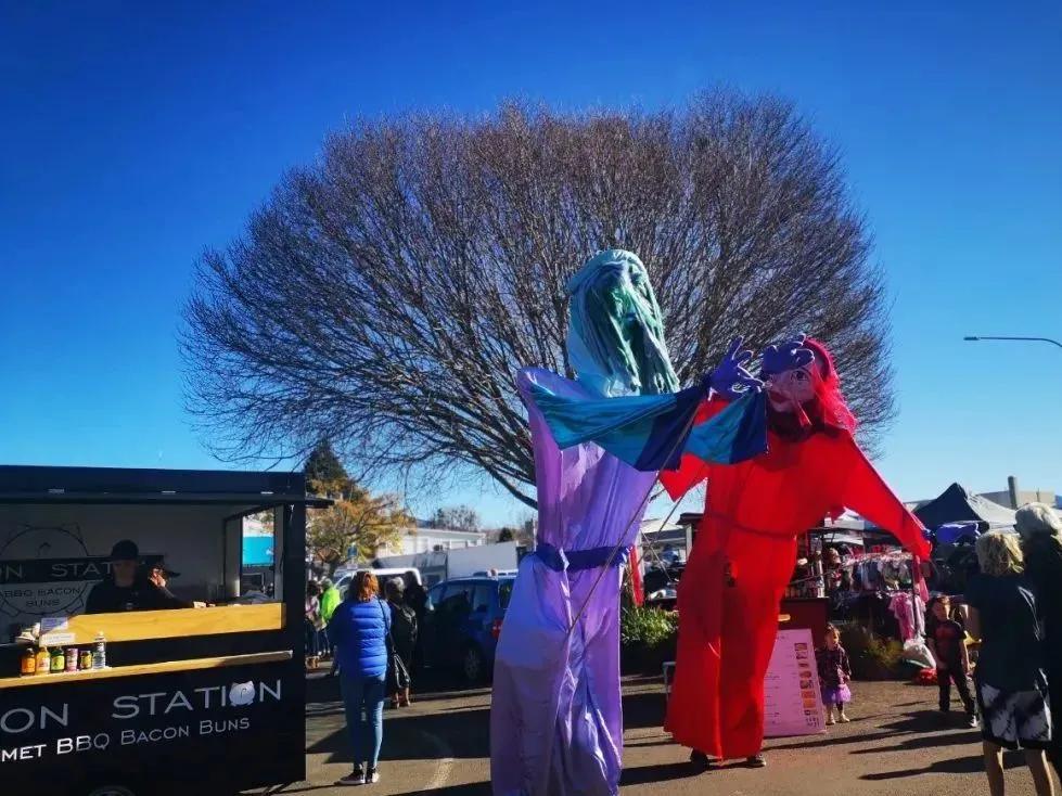 新西兰幼教移民真实感受,新西兰留学值不值得