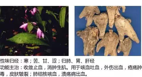 常用中草药名称大全图片及药效,常用中草药药效大全