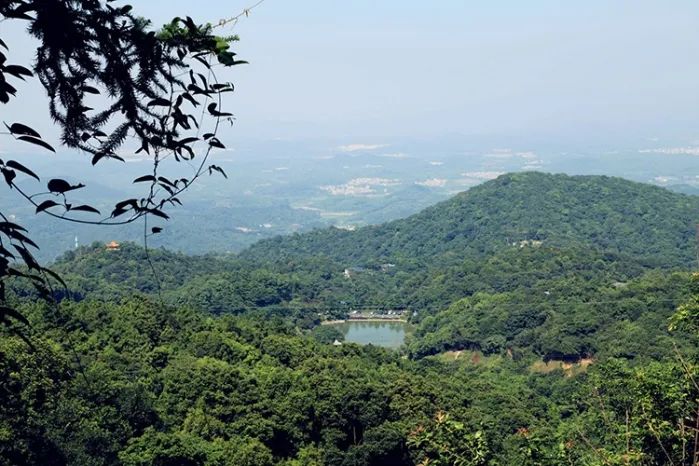 从城市到山林,从城市到田野