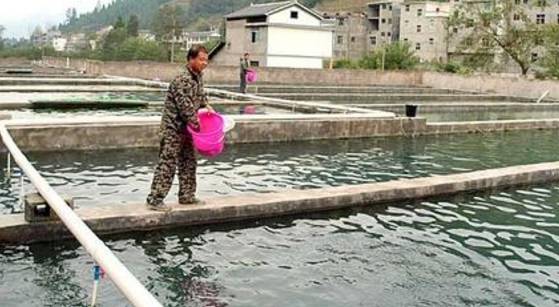 亚盐高处理方法,对虾亚盐超标根本解决办法