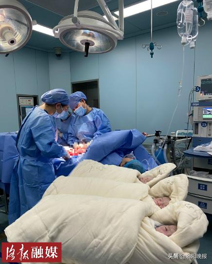 喜添三千金!洛阳三胞胎妈妈为爱创造生命奇迹