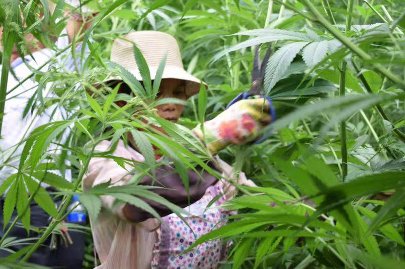 工业*麻大**收割季,KPC筹备2500万全球招募测评师,风口向谁敞开?