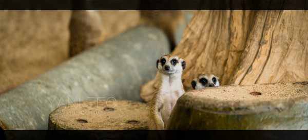 深度玩转泰国攻略,泰国游国际漫游