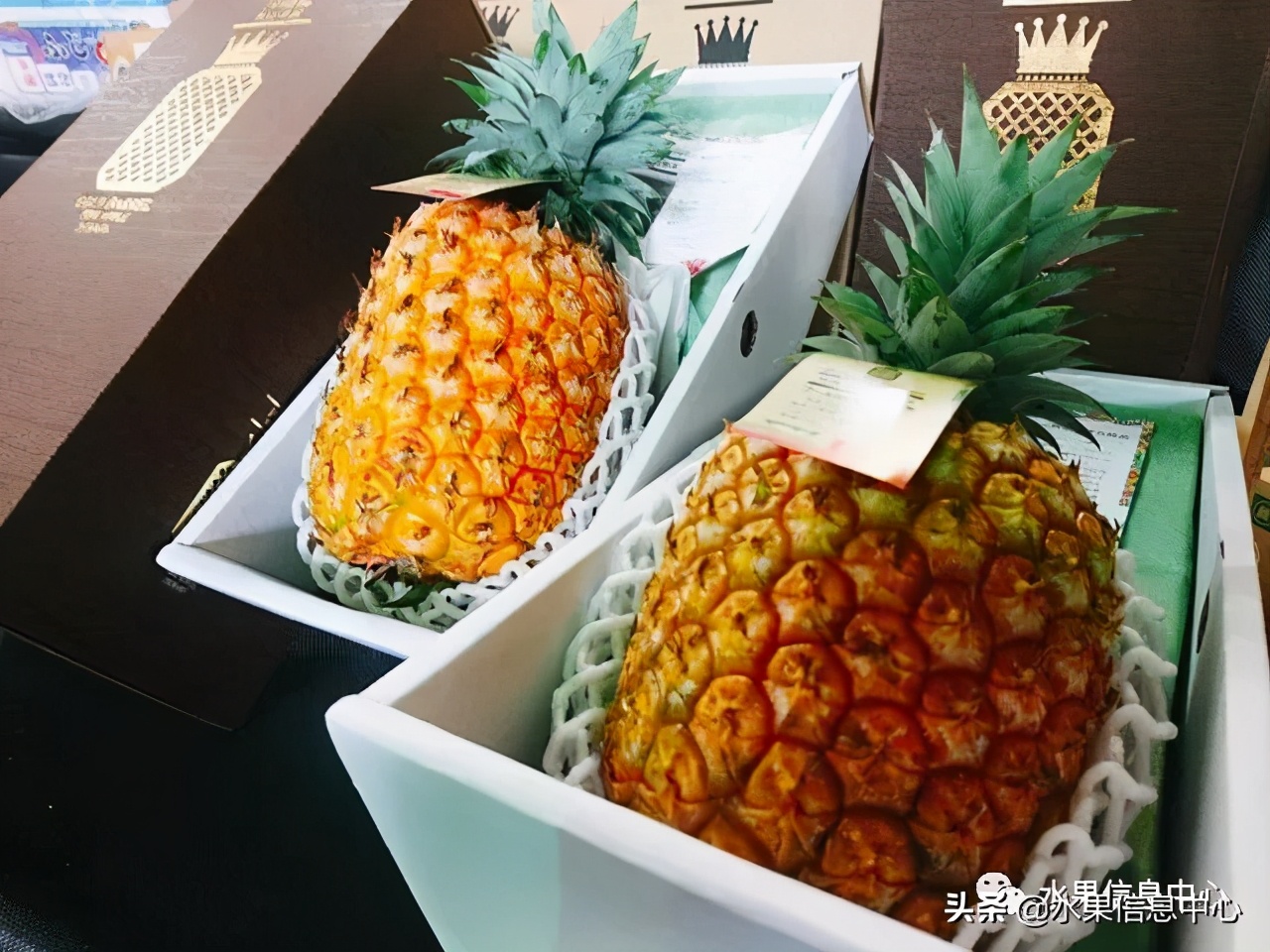 日本进口的菠萝,日本菠萝