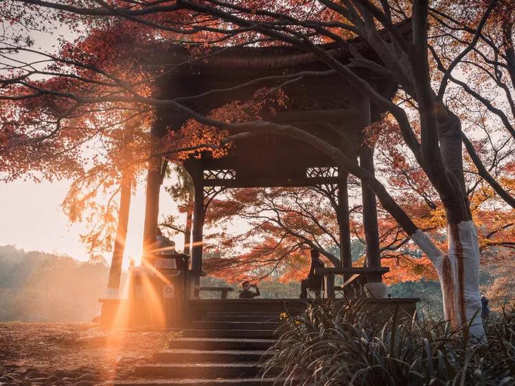 杭州游玩免费景点塘栖古镇,杭州过年免费游玩景点推荐