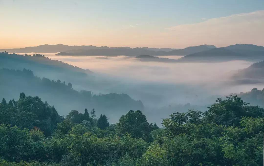 全球最大的城市森林公园,全球最绿色的城市