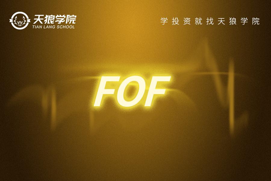 fof基金讲解,fof基金详解