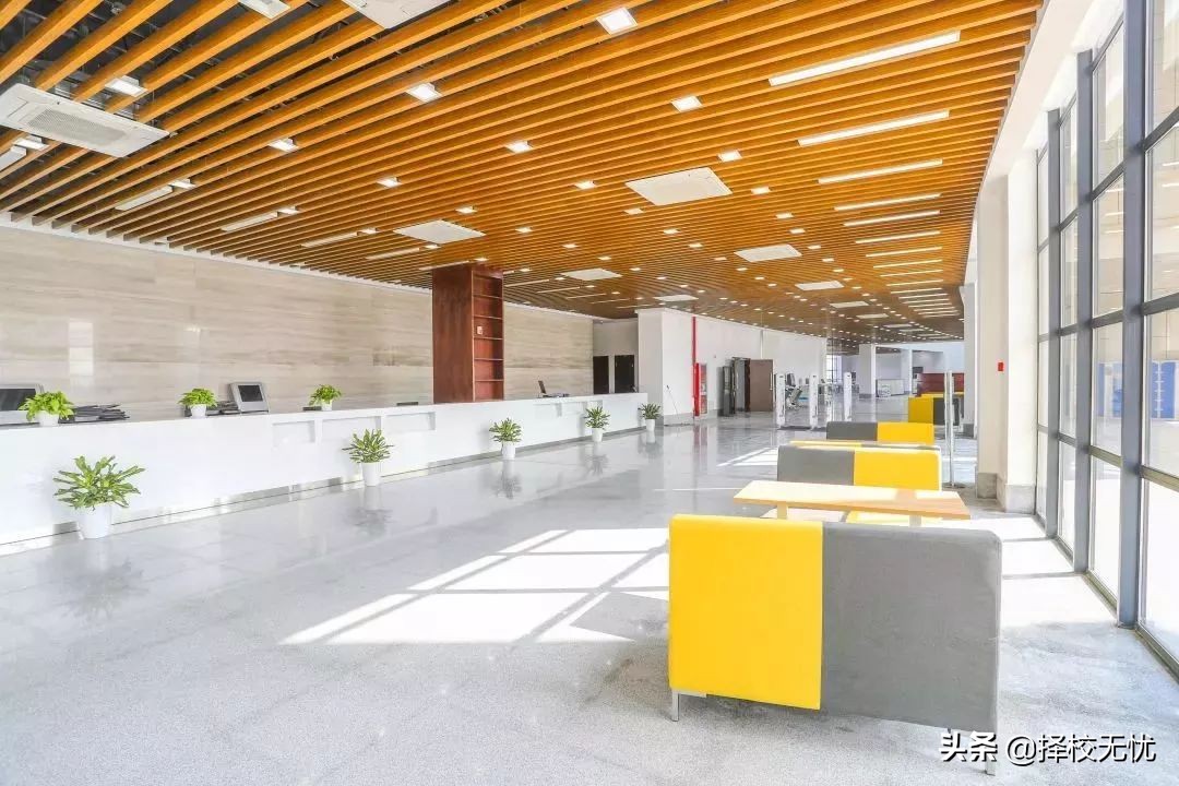 择校无忧完整视频,择校无忧丽水