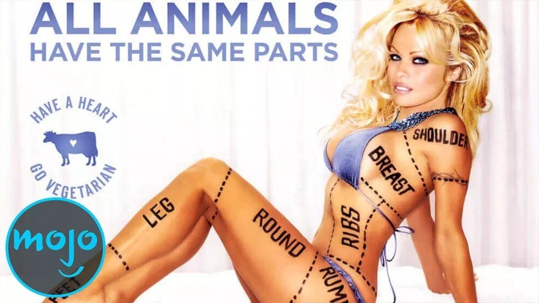 西方政治正确大逃杀:女权、LGBT、黑人谁能吃鸡?