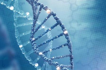 中国人基因和汉族基因,日本人基因和东北汉族人基因对比