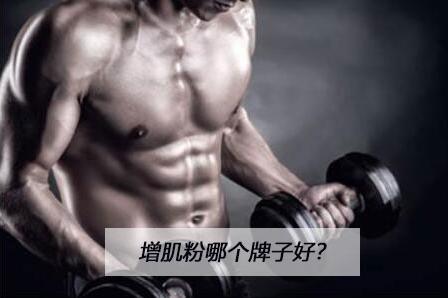 国产增肌粉好还是进口好,进口增肌粉有哪些品牌