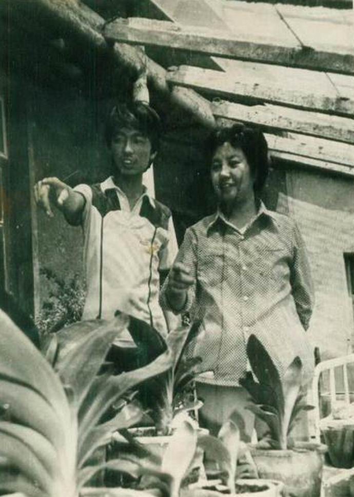 当年东北炒作君子兰,80年代炒作君子兰