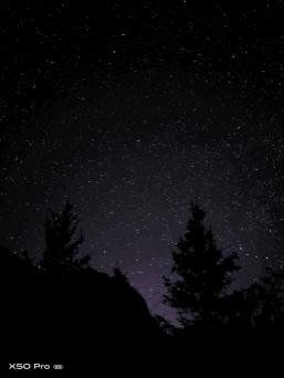 vivox50手机云台怎么样,vivox50云台有什么用