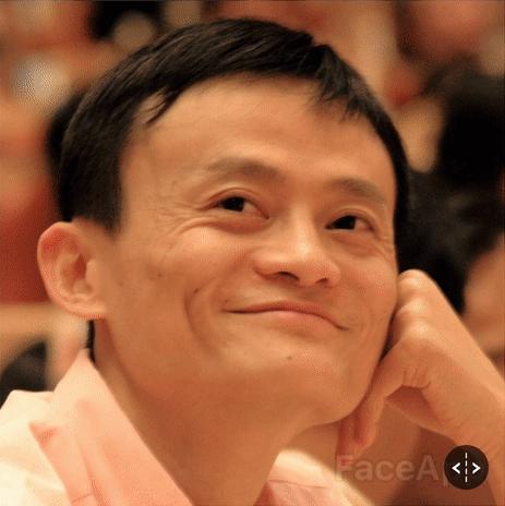 face变脸软件app,变脸软件faceplay