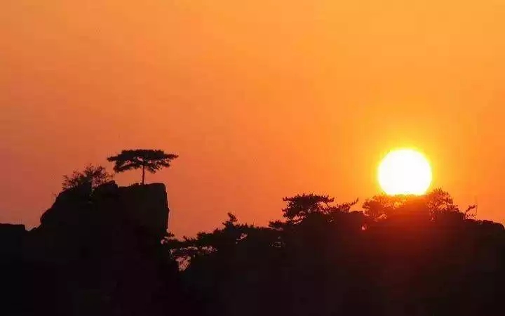 现代诗歌的美学意义,诗歌的美学效果