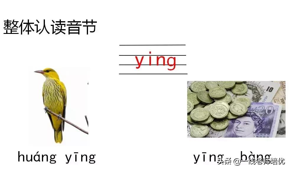 知识点+练习题部编一年级语文上册拼音13angengingong