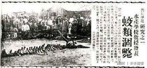 辽宁营口坠龙事件听说过吗,辽宁营口坠龙事件到底是真是假