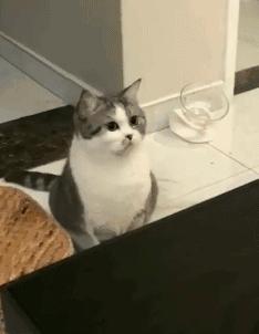 搞笑gif第八期,搞笑gif第三弹