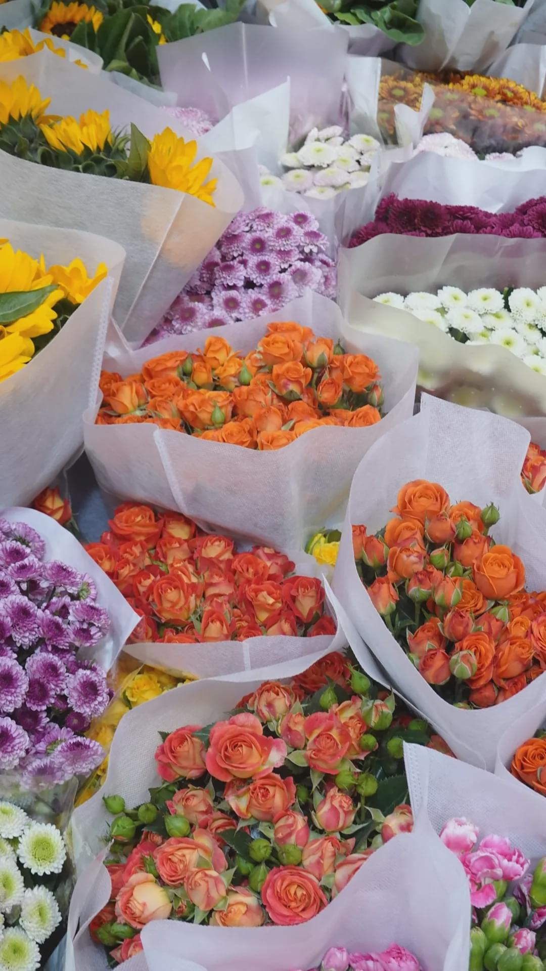 乌鲁木齐附近最便宜的花市,乌鲁木齐市花街在哪里