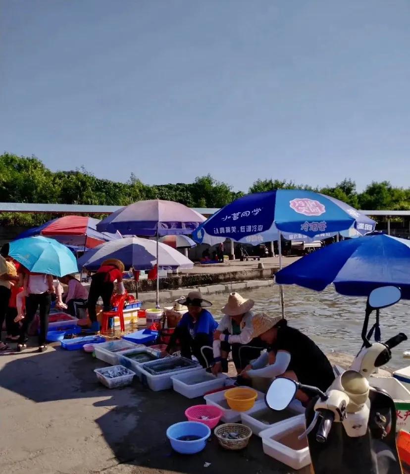 亲自去看海,第一次来到汕尾