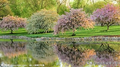 情感咨询|栗子姐每日情感问答(0330)