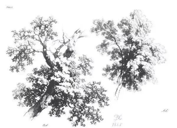 不会画风景咋办,不会画速写怎么办