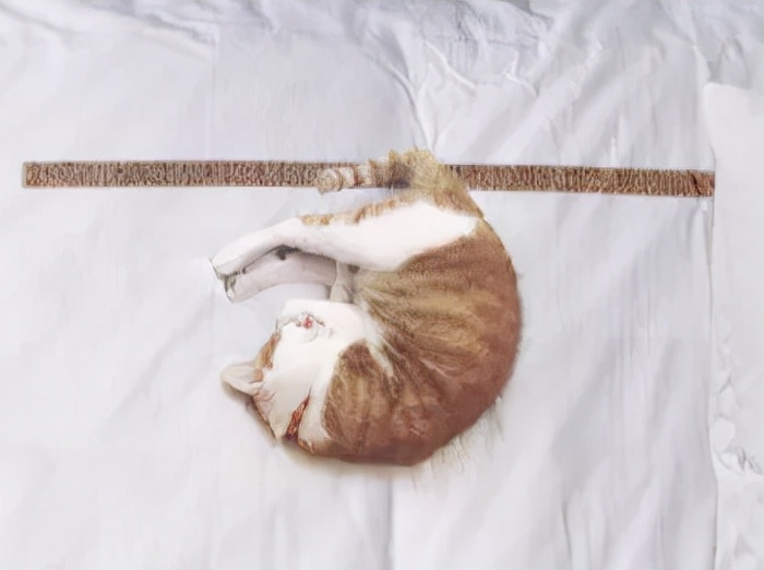 海报的设计思路和灵感,如何设计一张高逼格的海报