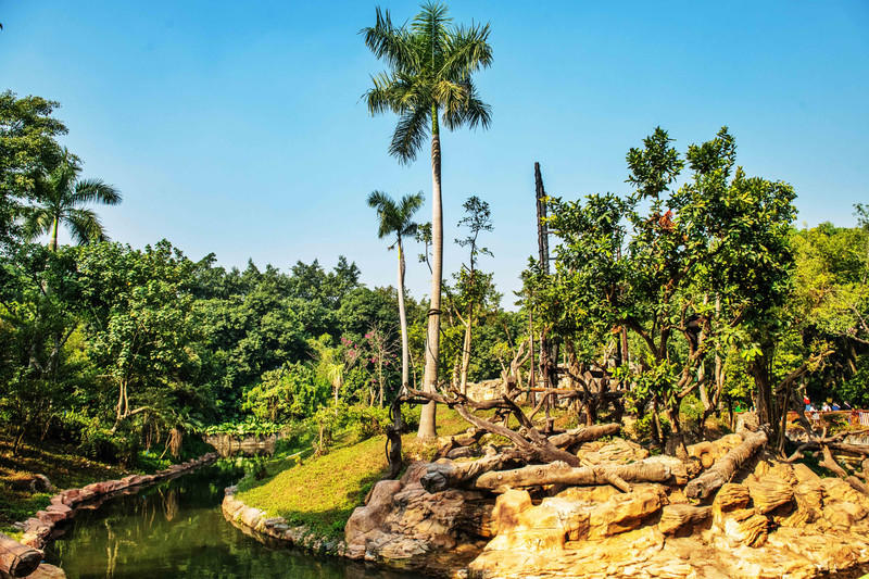 广州长隆野生动物世界的游玩攻略,广州长隆野生动物世界一日游回顾