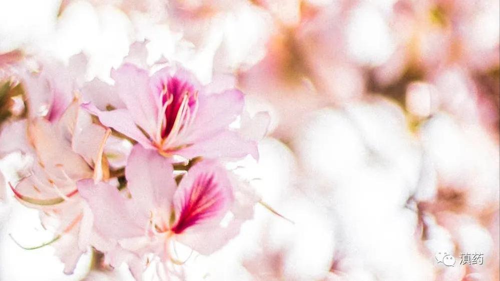 立春,春已归来,正是生发阳气之时