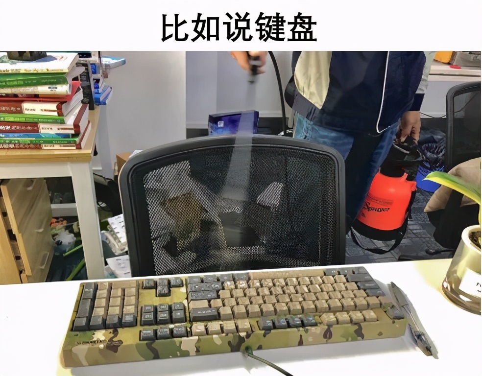 饮水机出了一只蟑螂怎么办,饮水机接出来的蟑螂能活多久