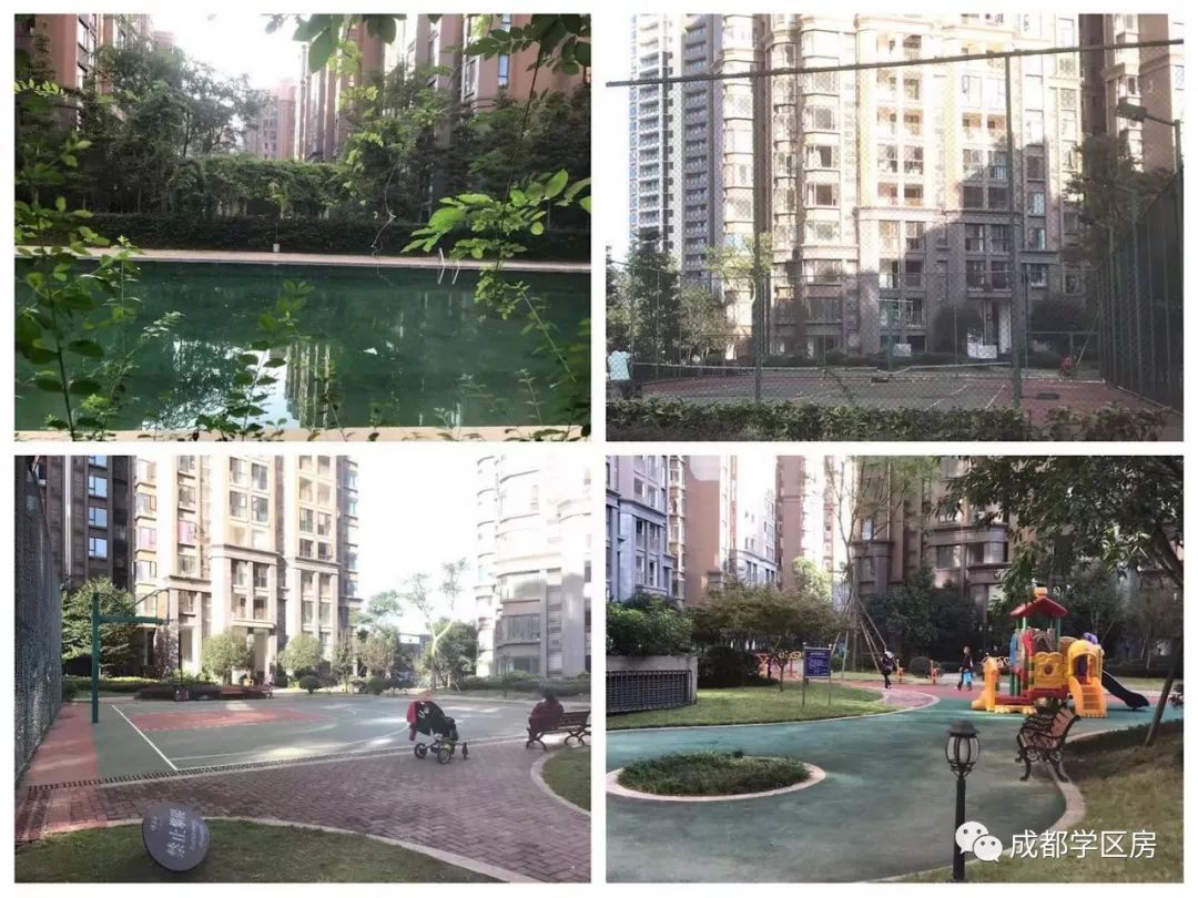 天府新区私立小学招生简章,天府新区第六小学对应初中