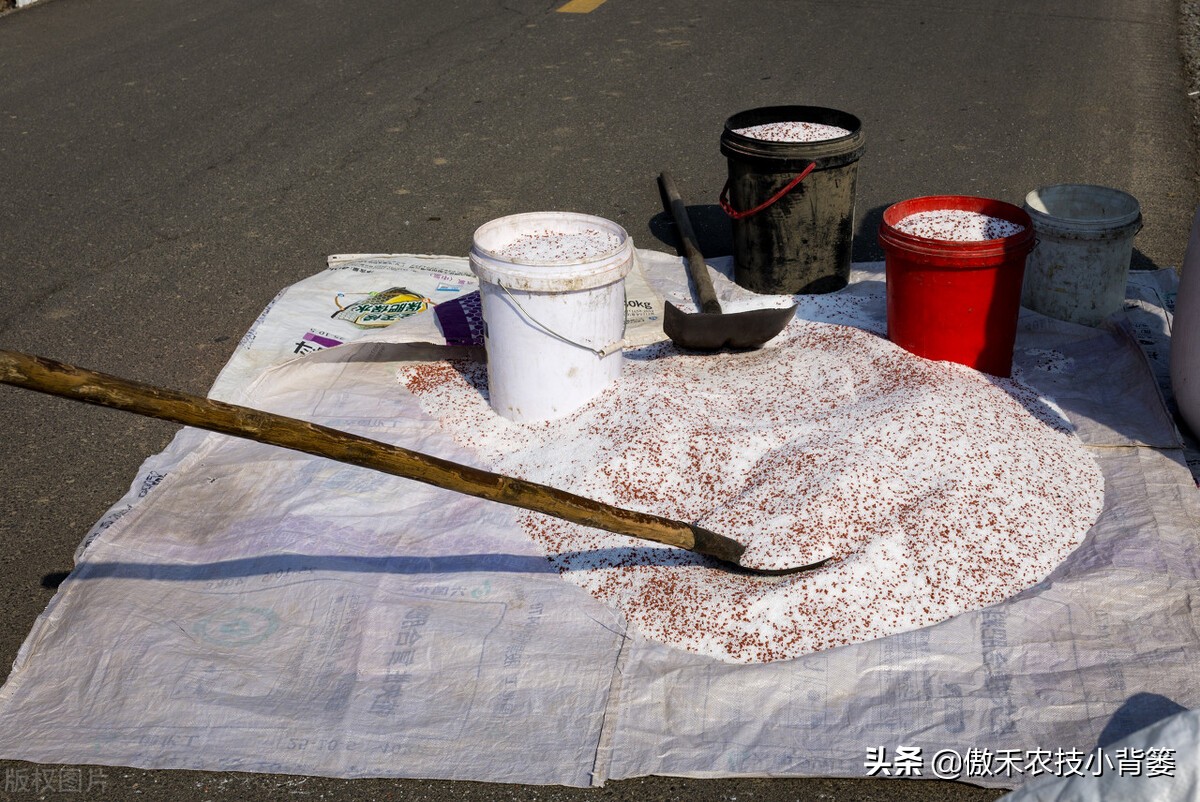 含氯化肥使用注意事项,长期使用中氯化肥对作物有危害吗