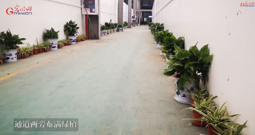 一个新冠肺炎患者治疗费,新冠肺炎治愈要多少钱