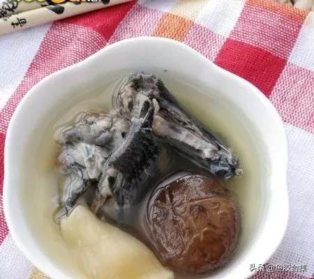 鱼胶花胶最简单做法,这些顶级花胶鱼胶你了解多少