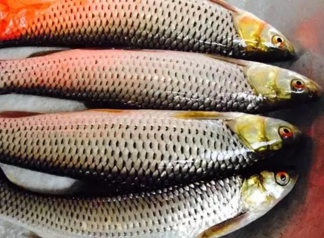 防城港怎么吃海鲜便宜不被坑,防城港干货海鲜有哪些