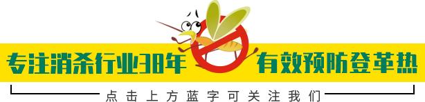 防止毒虫叮咬的最好方法,毒虫叮咬后的救命方法