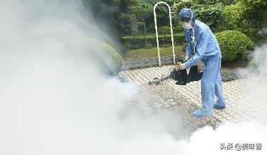 养羊场灭蝇的最佳方法,户外养殖场灭蝇什么方法最好用