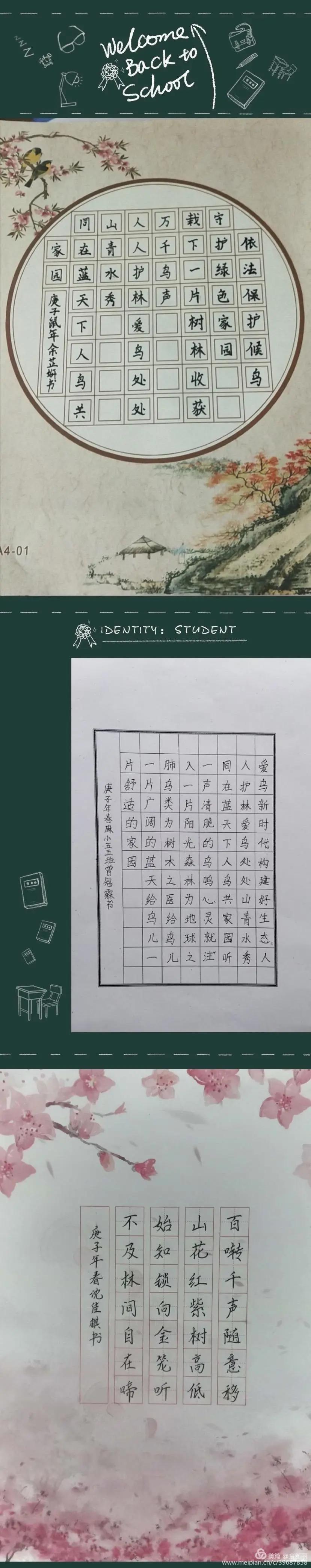 “同心呵护鸟类共建美好家园”建阳麻沙中心小学第38届爱鸟周活动