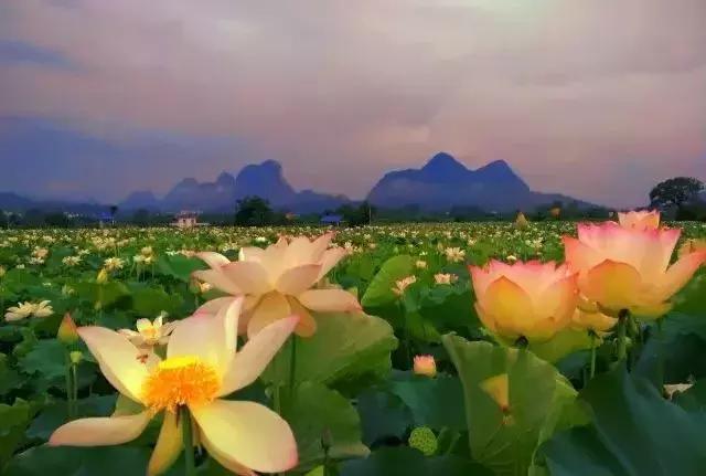 精心打造高端民宿,禅文化酒店设计风格