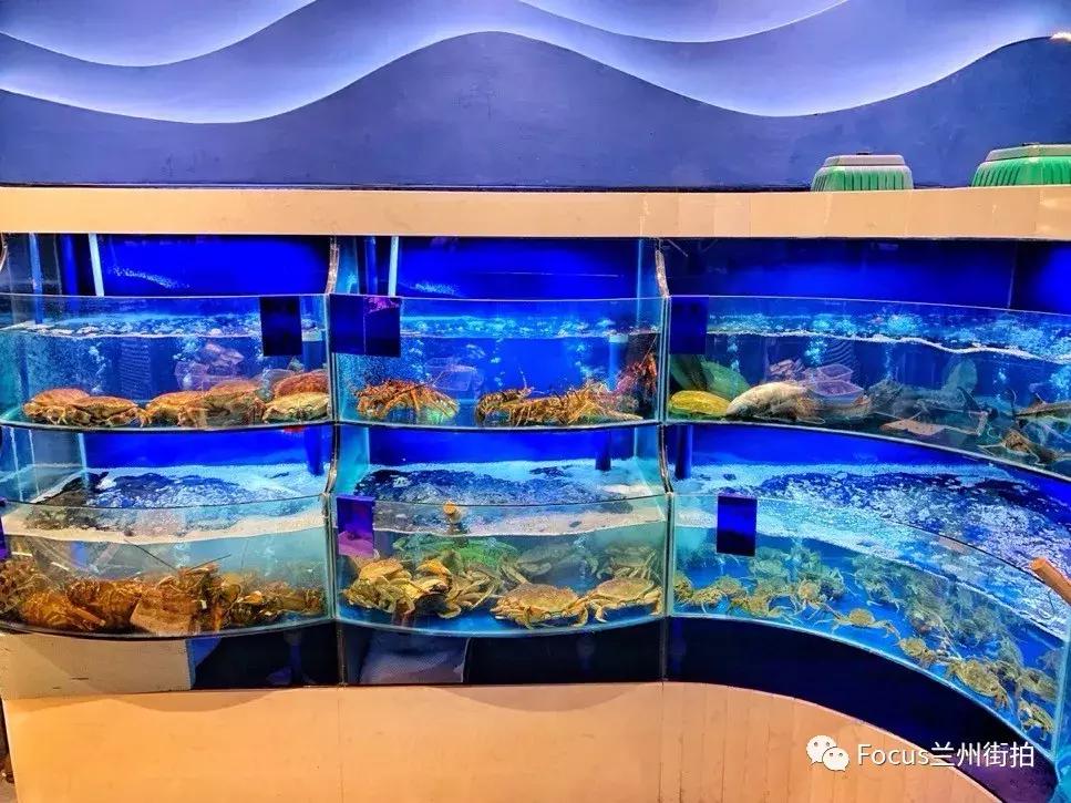 兰州好吃又实惠的海鲜,兰州值得推荐海鲜店