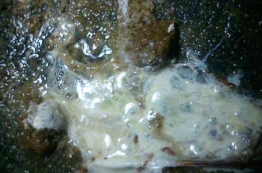 养鸡常识鸡粪是黄色的是什么病,观察鸡粪怎么判断鸡病