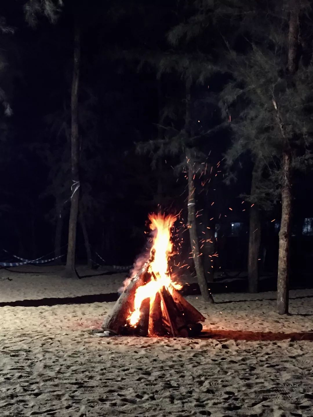 钦州三娘湾寻找白海豚,钦州三娘湾中华白海豚咬不咬人